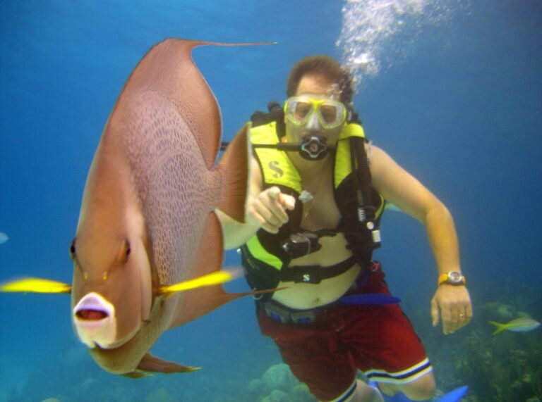 SOLSTICE -  Full Diving and Dive Instruction