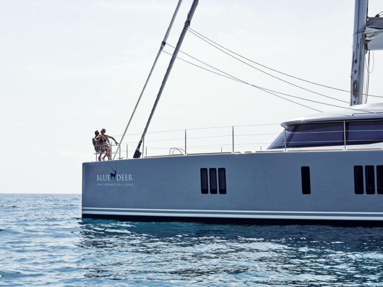SY BLUE DEER - 004