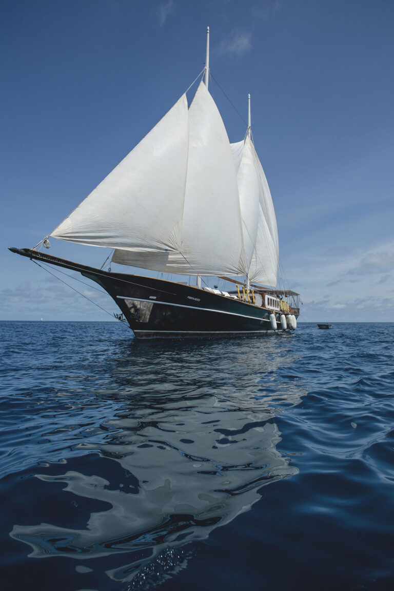 SY Dream Voyager