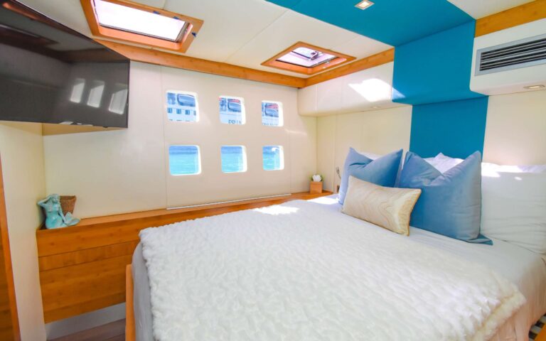 Guest Suite