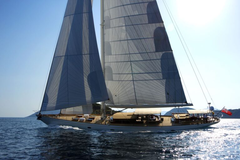 EUGENIA VII