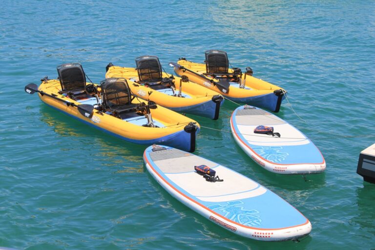Kayaks and SUPs