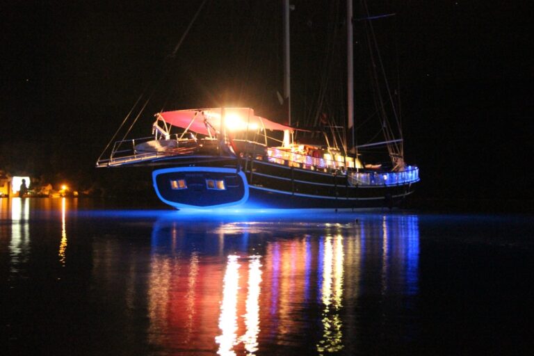 SY NOSTRA VITA - By night