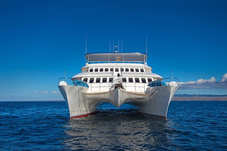 Forward View
