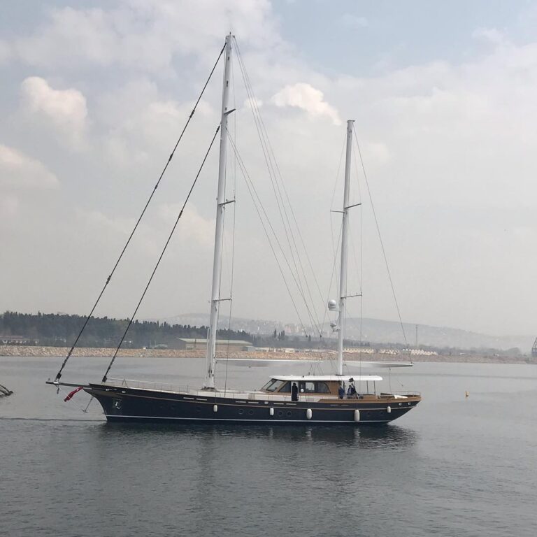 S:Y Vagante Launched