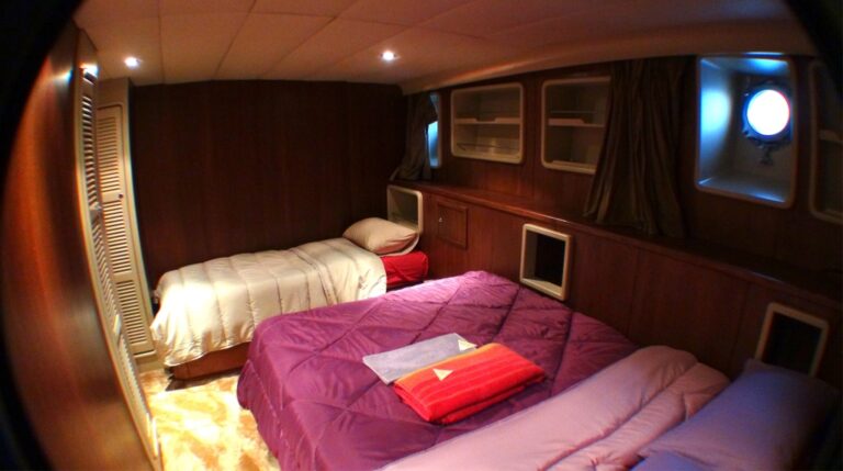 SYNOSTROMO - Guest cabin