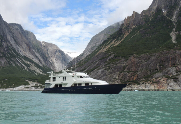 Safari Quest In Alaska