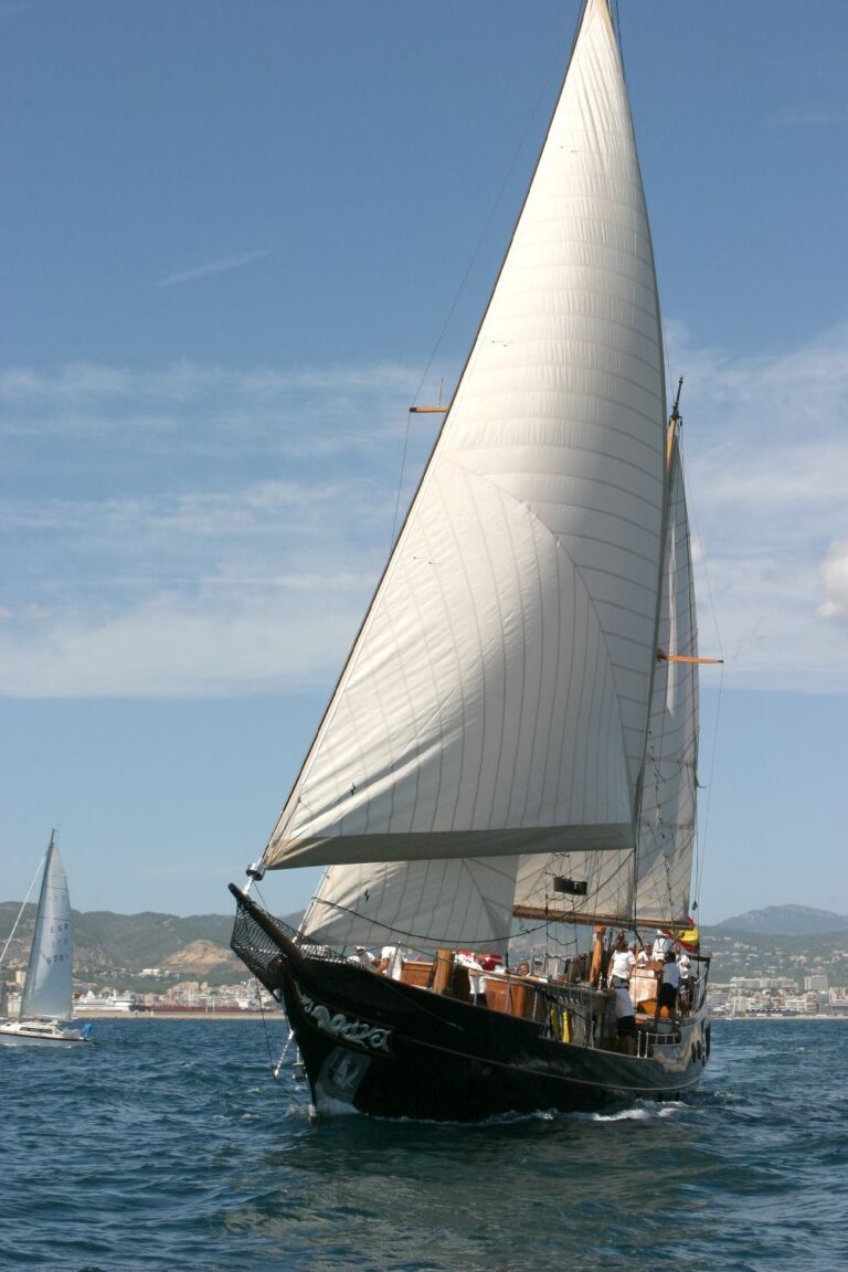 Sail Yacht DOLPHIN - Sailing