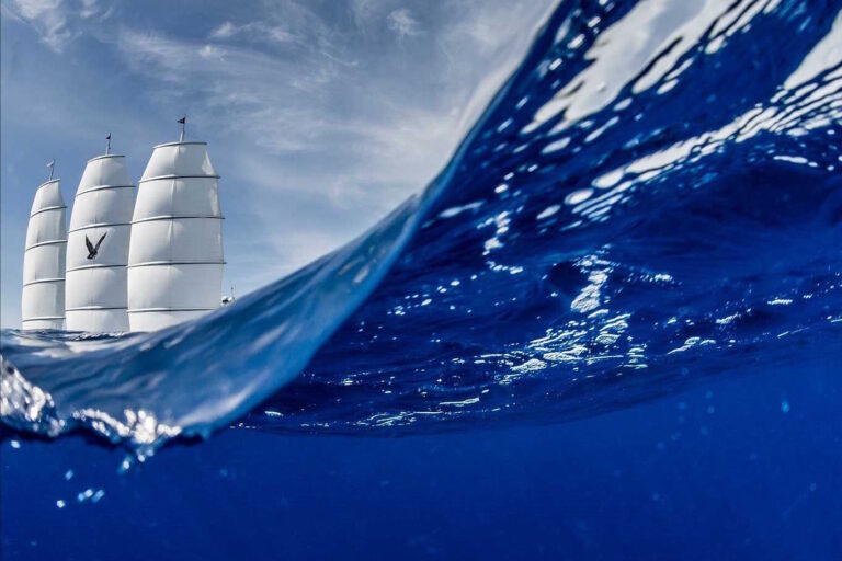 MALTESE FALCON