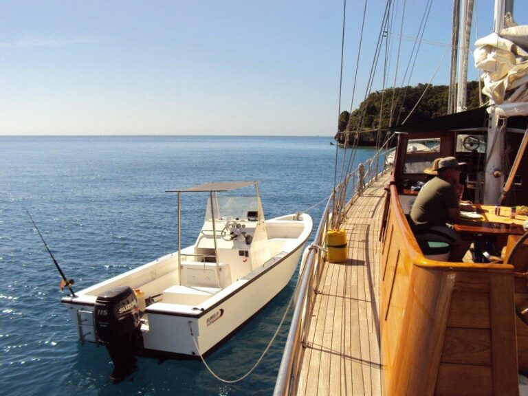 Sailing Yacht TAU - Tender