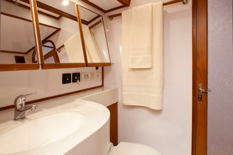 Sailing yacht Archangel -  bathroom