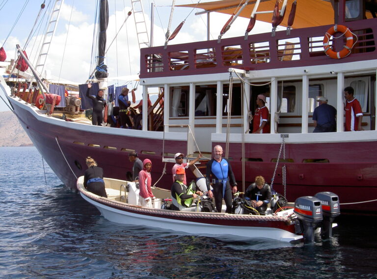 Seven Seas Diving