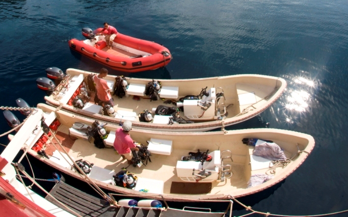Seven Seas Tenders