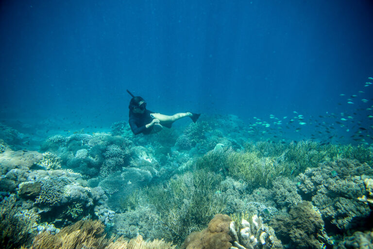 Snorkelling