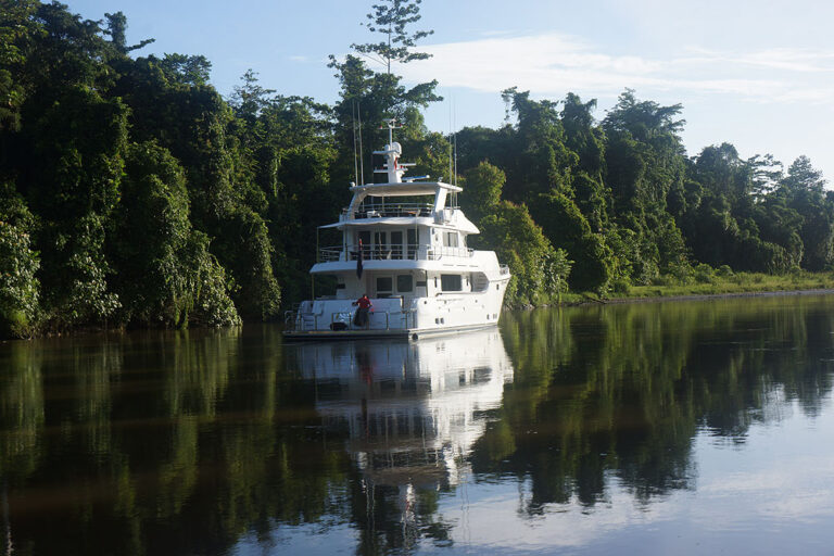 Stern