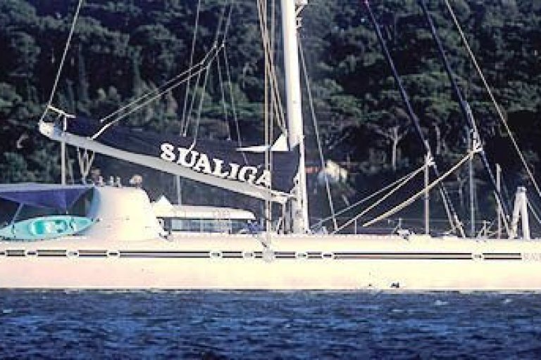 Sualiga