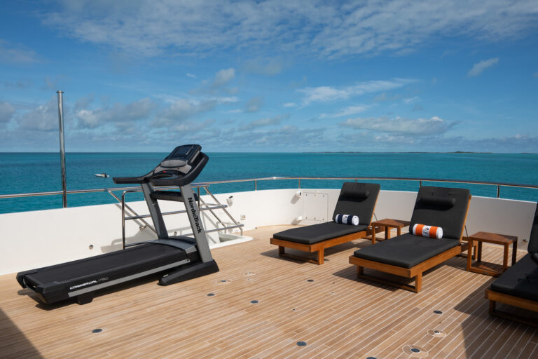 Sun Deck Treadmill