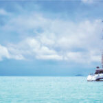SEA FOREVER