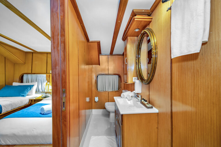 Guest Ensuite