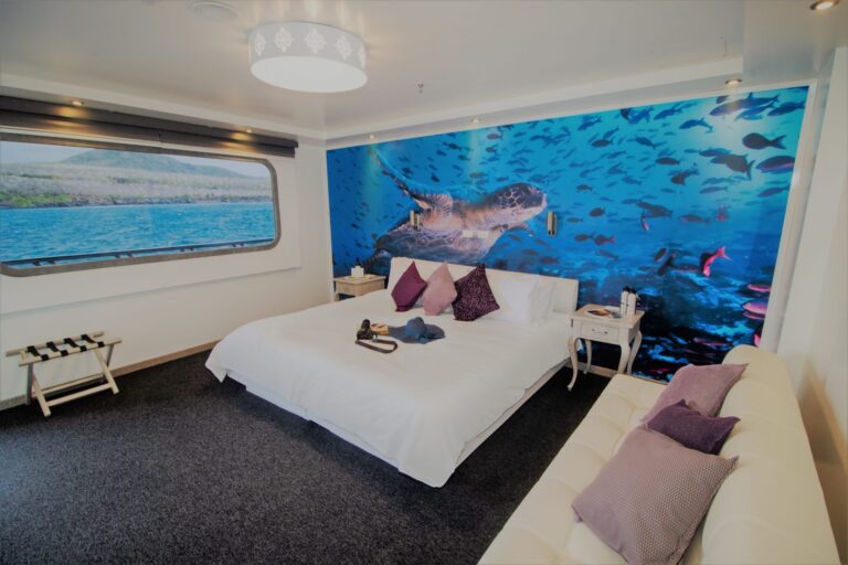 Double Cabin