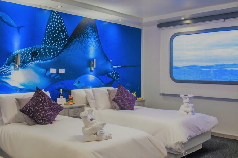 Twin Cabin
