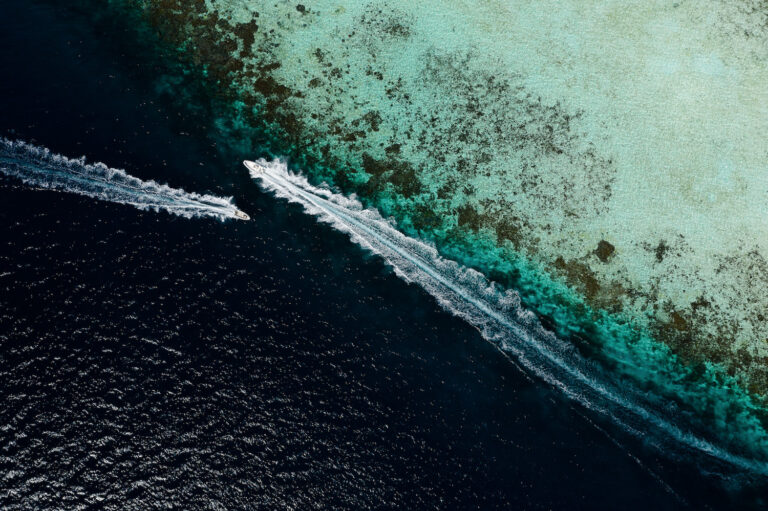 Tenders