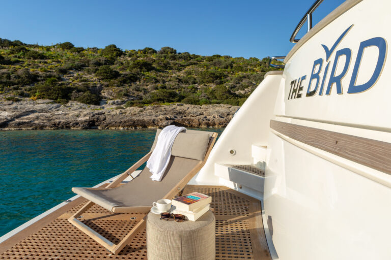 The Bird Swim Platform