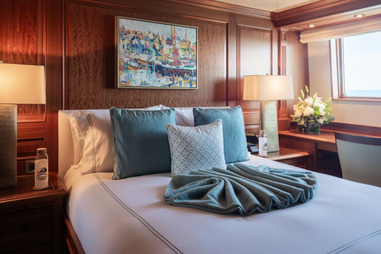 VIP Queen Stateroom On Bridge  Deck
