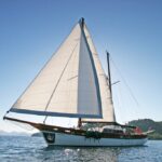 Sail VONGOLE
