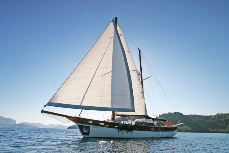 Sail VONGOLE