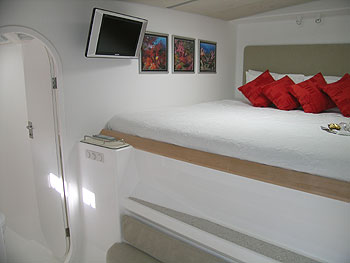Wild Thing - Guest Cabin