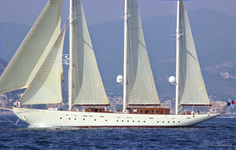 XARIFA Profile