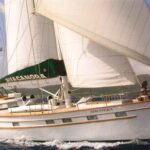 Ayacanora