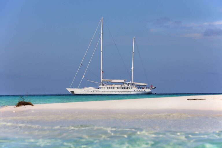 Motor Sailor DIONE STAR
