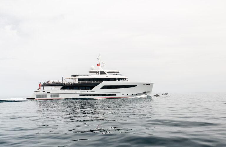 Yacht HEEUS Cruising With Dolphins