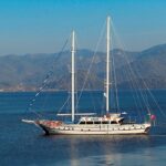 SARAYLI I