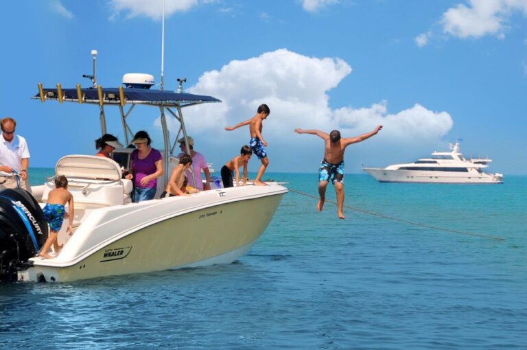 Yacht SCOTT FREE -  Tender