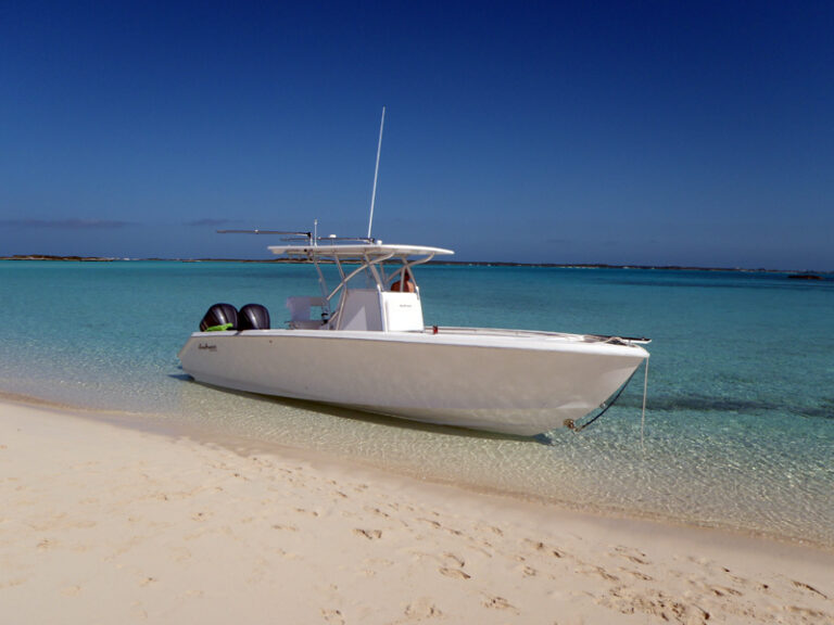 Yacht SEAS THE MOMENT - 29 ft SEA HUNTER 2011