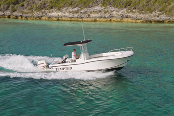 Yacht TEMPTATION - Tender
