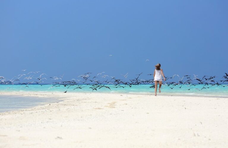 Yacht Charter Vacation