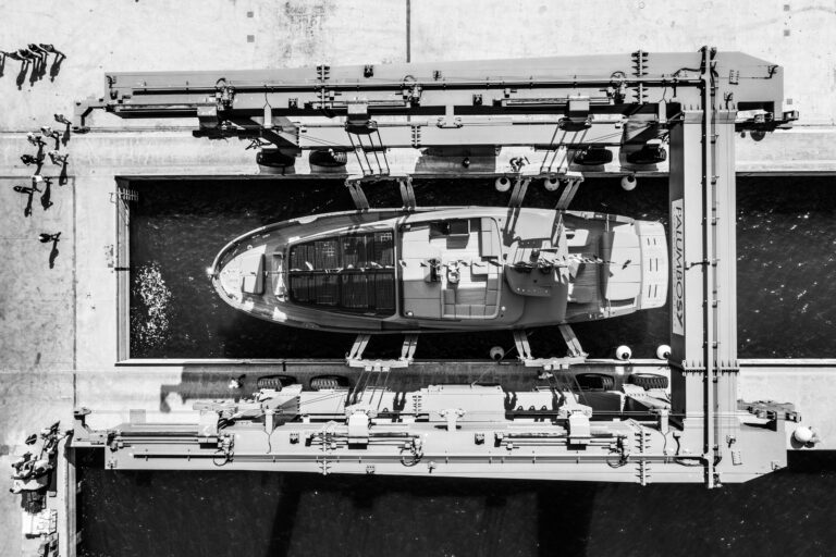 Aerial View Bw
