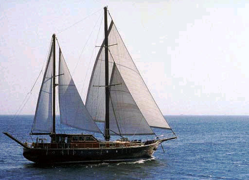 almyra 6