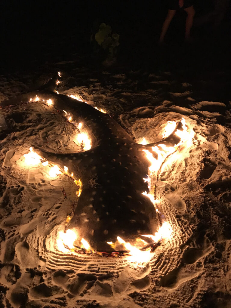 Beach Bbq