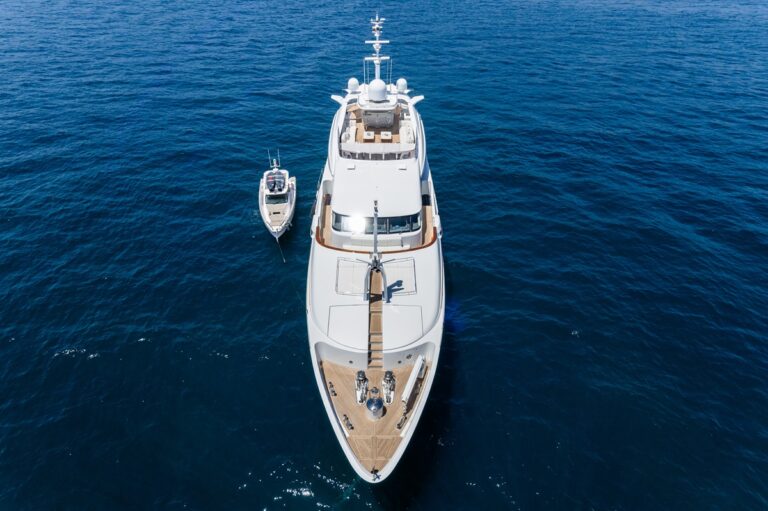 Birdseye Bow And Tender