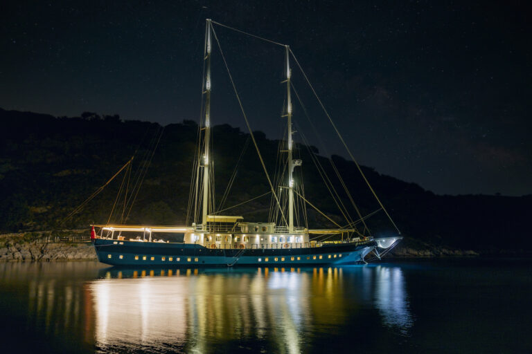 By Night Profile