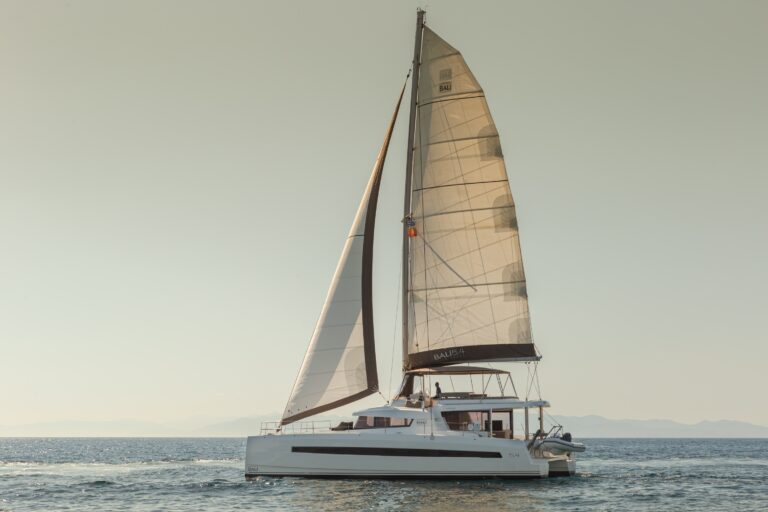 Catamaran License To Chill