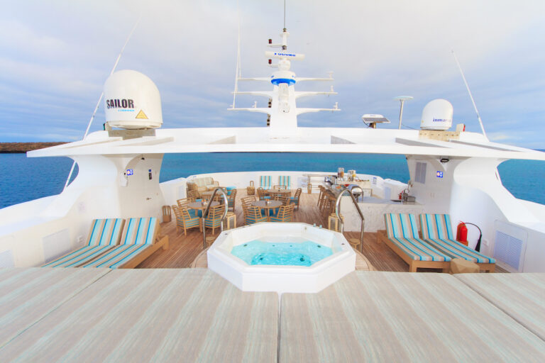 Deck With Jacuzzi