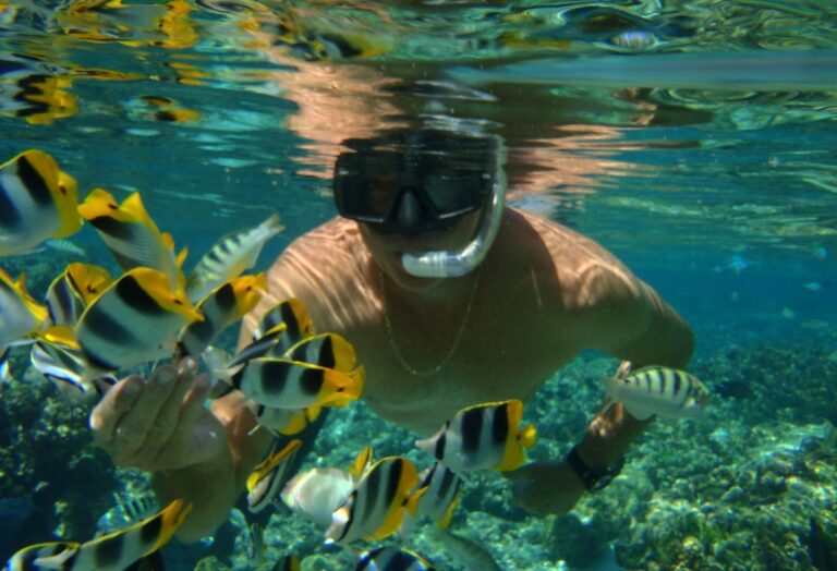 Diving