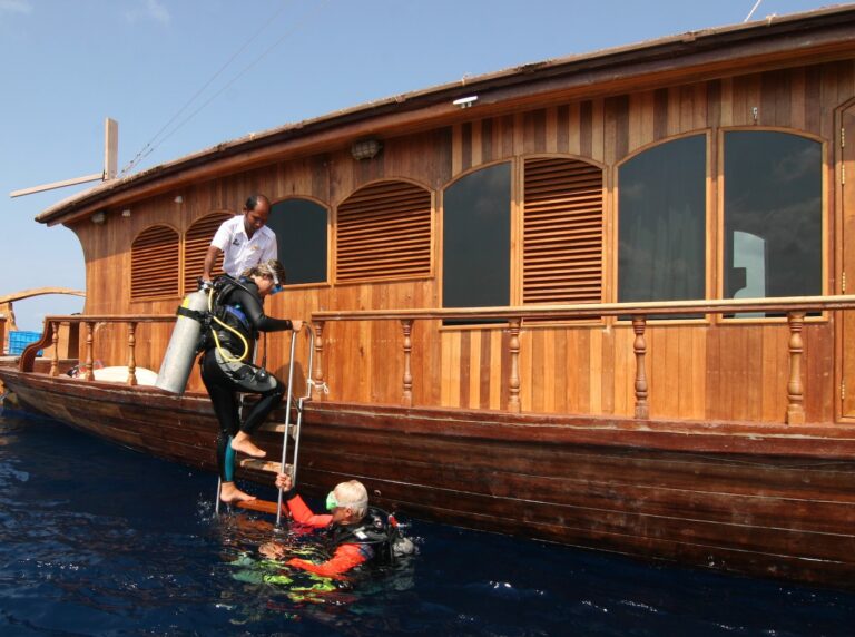 Diving Ladder