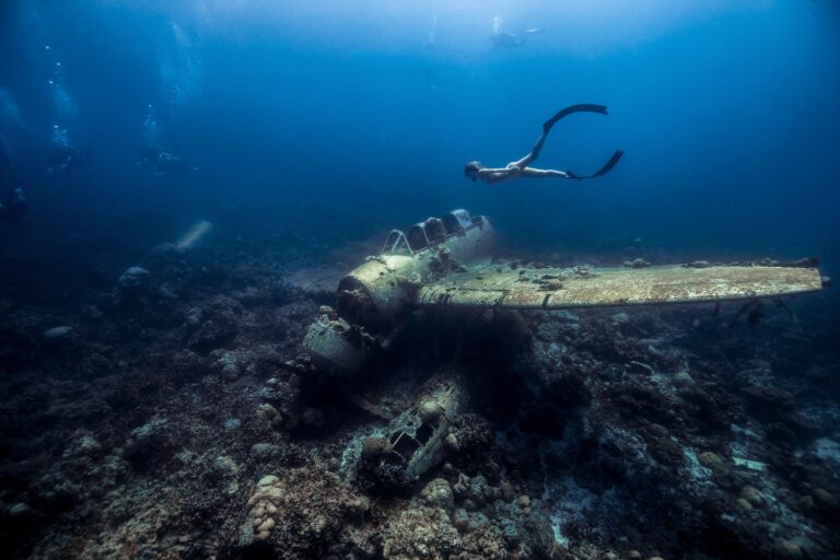 Diving With Black Pearl